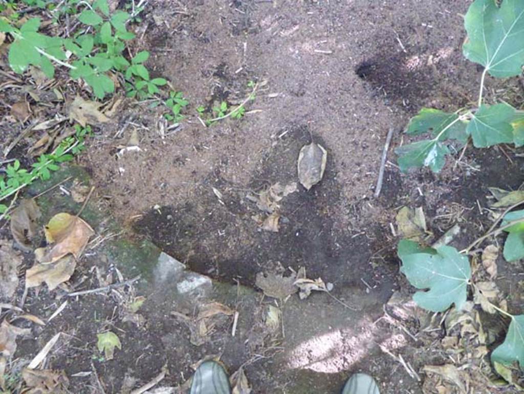 II.3 Herculaneum, September 2015. Eastern end of semi-circular pool, now reburied again. According to Wilhelmina –
“In the centre of the garden was a rectangular pool with a semi-circular end at its eastern end, the west part of the pool was still unexcavated.”
See Jashemski, W. F., 1993. The Gardens of Pompeii, Volume II: Appendices. New York: Caratzas. (p.259)